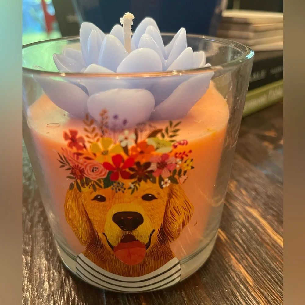 🕯️NWOT CANDLE - Picture 1 of 5